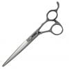 Bladez 'Eagle' Hairdressing Scissors 1